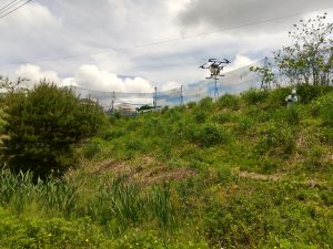 除草剤の散布してきました